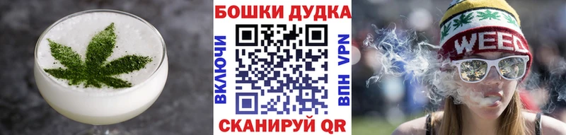 Купить где  Сурск  Canna-Cookies конопля 
