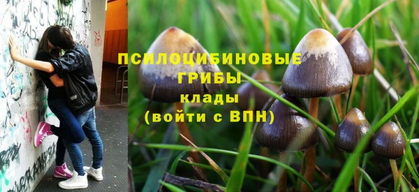 мескалин Медвежьегорск