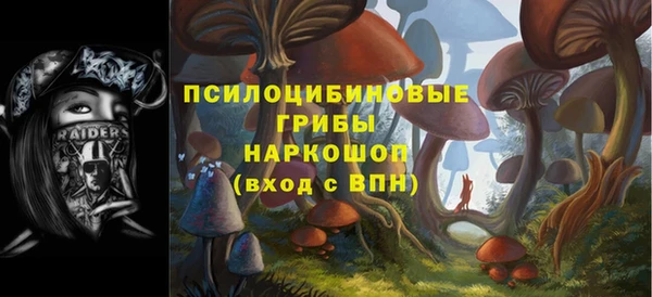 мескалин Медвежьегорск