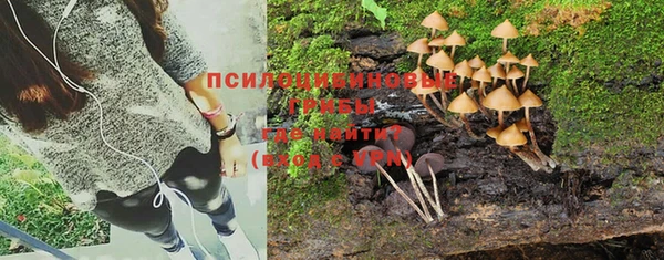 мескалин Медвежьегорск