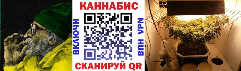 Шишки марихуана гибрид  Купить закладки  Сурск 